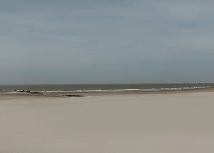 Zuiders Appartement Op 150M Van Duinen En Strand